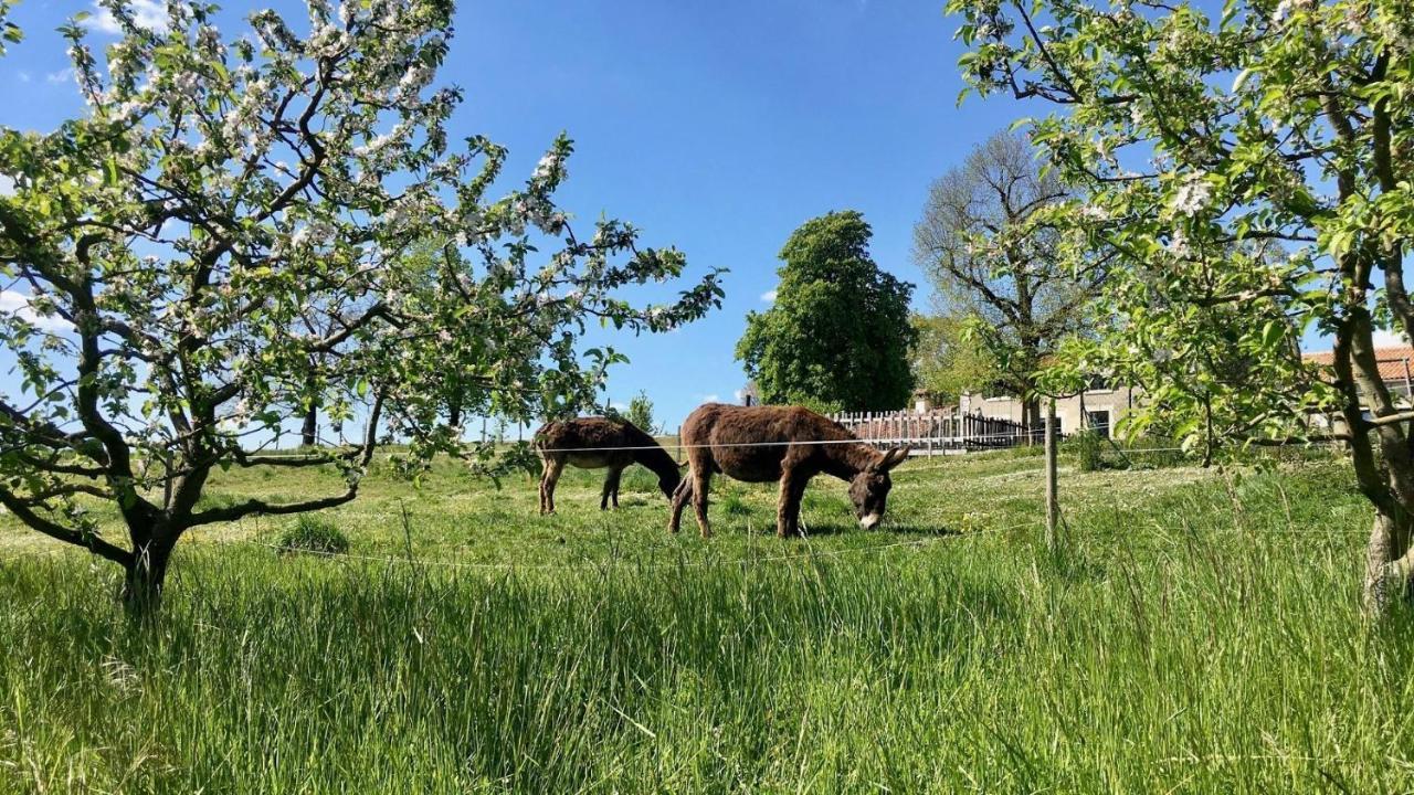 Auberge Casa Sana Pillac Eksteriør billede